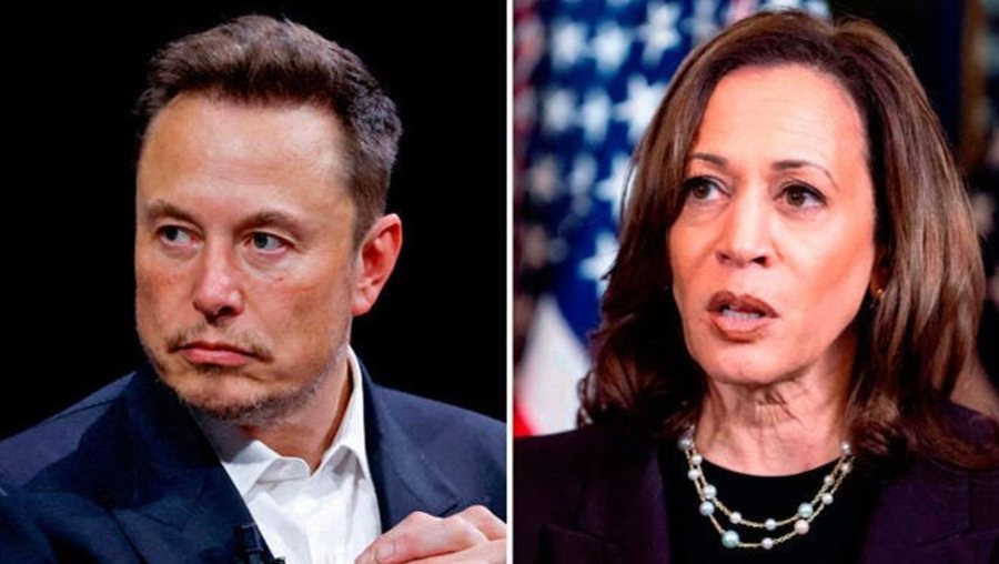 Elon Musk Raises Alarm Over Harris’s Controversial ‘Pathway to Citizenship’ Promise for Illegal Immigrants